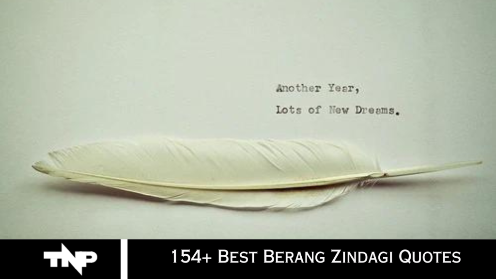 154+ Best Berang Zindagi Quotes