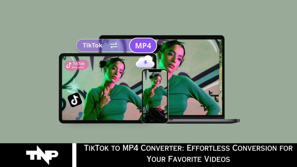 TikTok to MP4 Converter